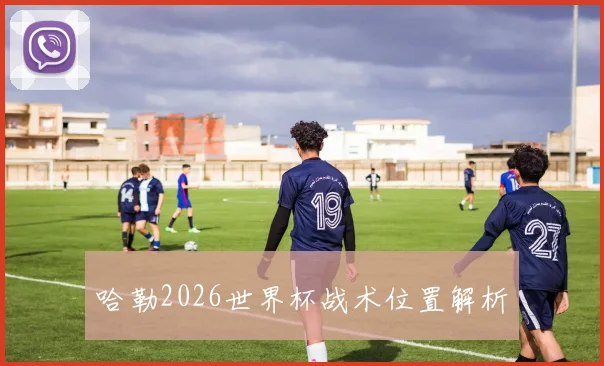 哈勒2026世界杯战术位置解析