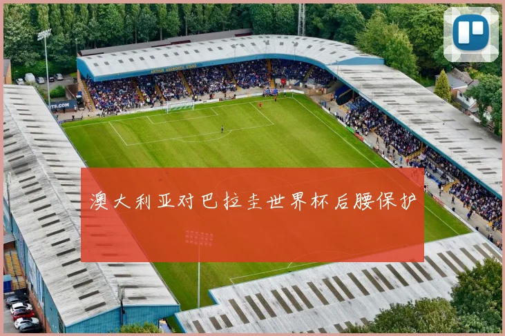 澳大利亚对巴拉圭世界杯后腰保护