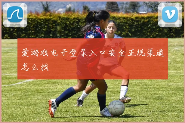爱游戏电子登录入口安全正规渠道怎么找