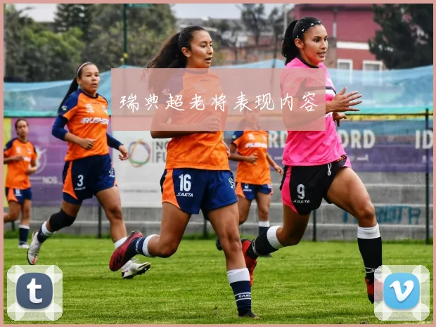 瑞典超老将表现内容