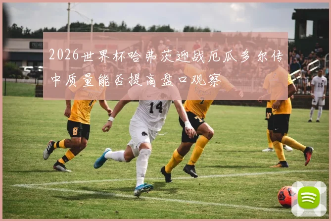 2026世界杯哈弗茨迎战厄瓜多尔传中质量能否提高盘口观察