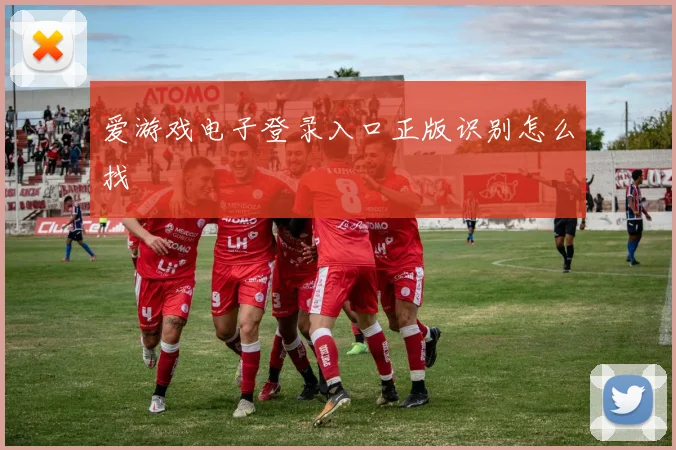 爱游戏电子登录入口正版识别怎么找