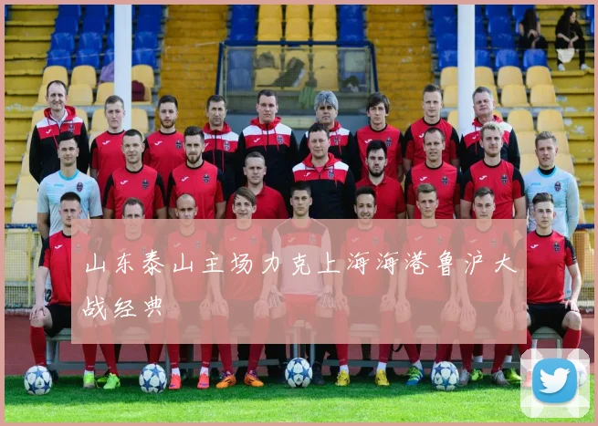 山东泰山主场力克上海海港鲁沪大战经典