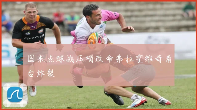 国米点球战压哨改命弗拉霍维奇看台炸裂